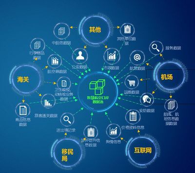 解码“大案牍术” 海关智能化软件开发的创新与挑战